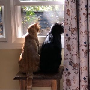 Meet your Posher, Jaylin